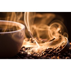 Mapa promove palestra e degustação durante a 3ª Feira Internacional de Café, Cacau e Agroturismo